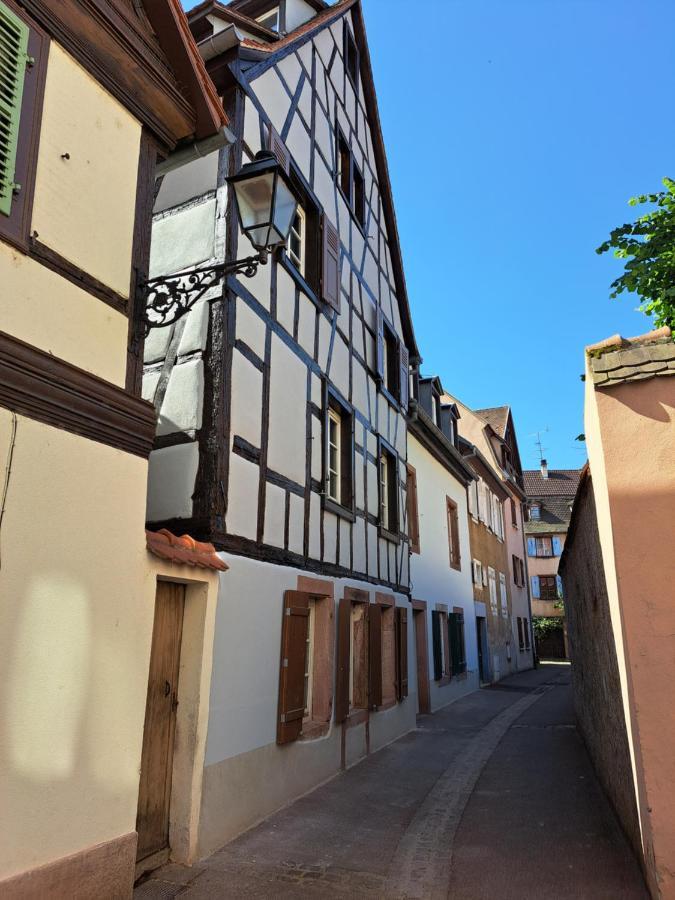 Les Colombages Apartment Colmar Bagian luar foto