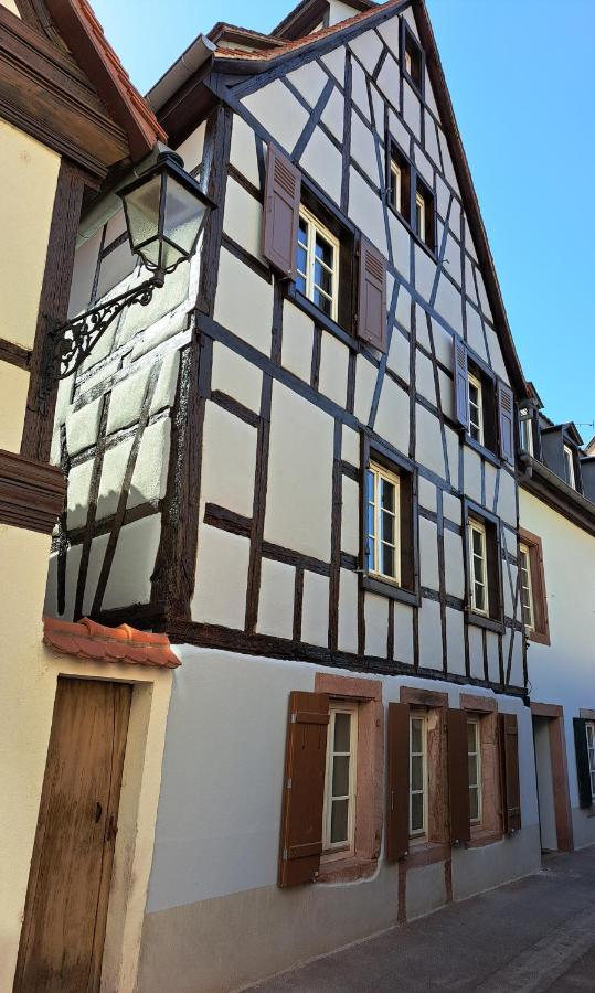 Les Colombages Apartment Colmar Bagian luar foto