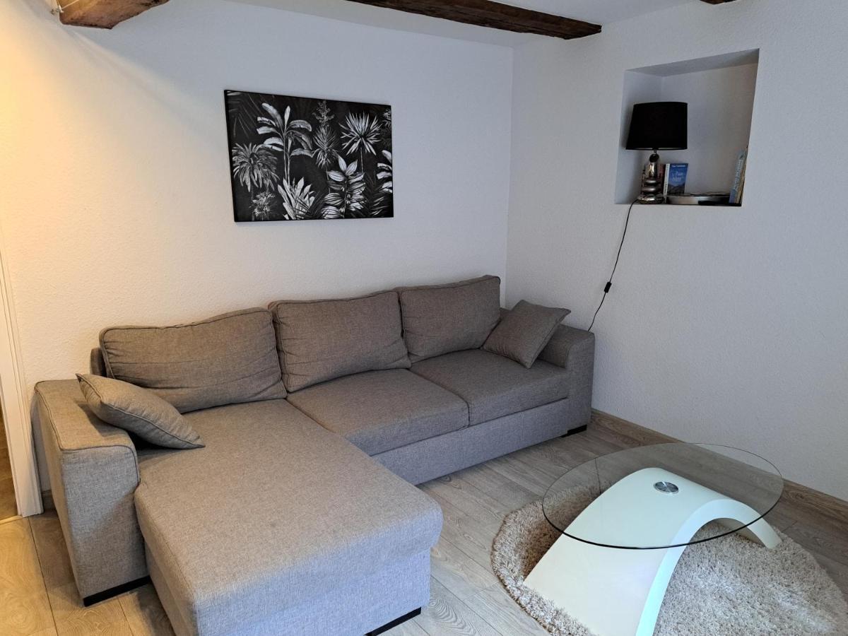 Les Colombages Apartment Colmar Bagian luar foto