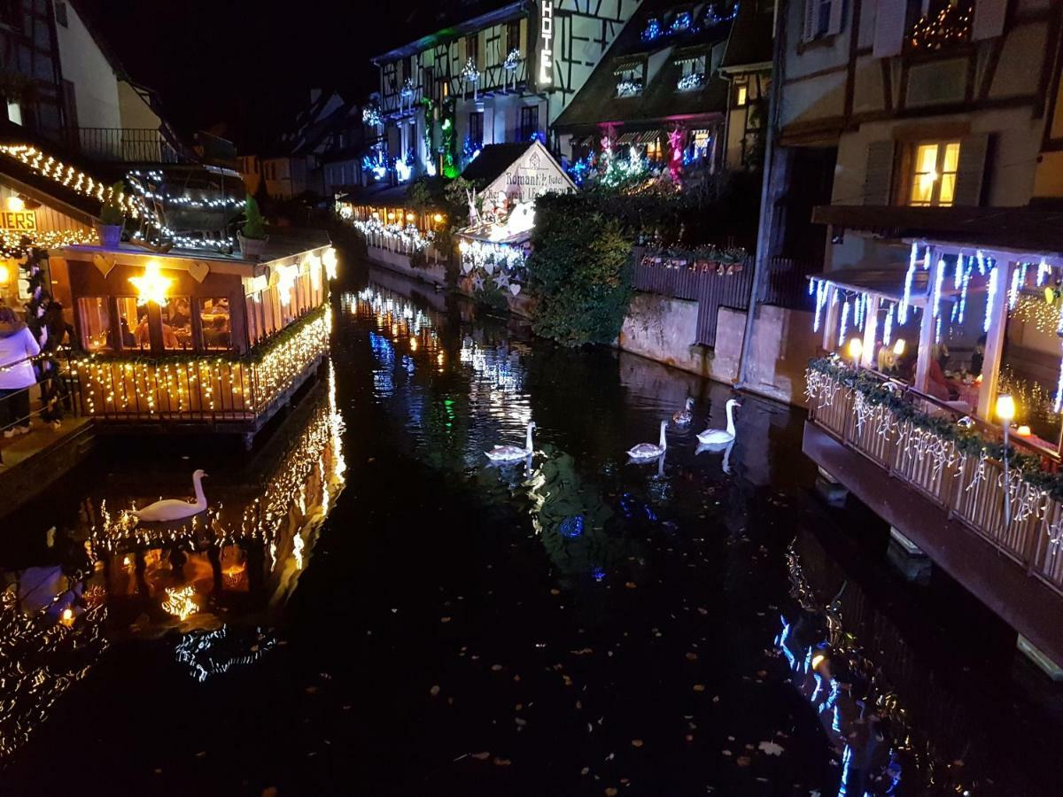 Les Colombages Apartment Colmar Bagian luar foto