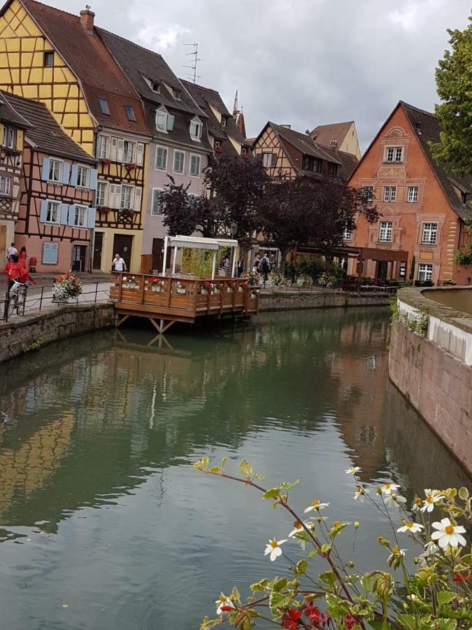 Les Colombages Apartment Colmar Bagian luar foto